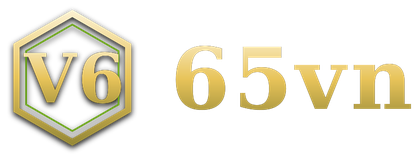 65vn logo